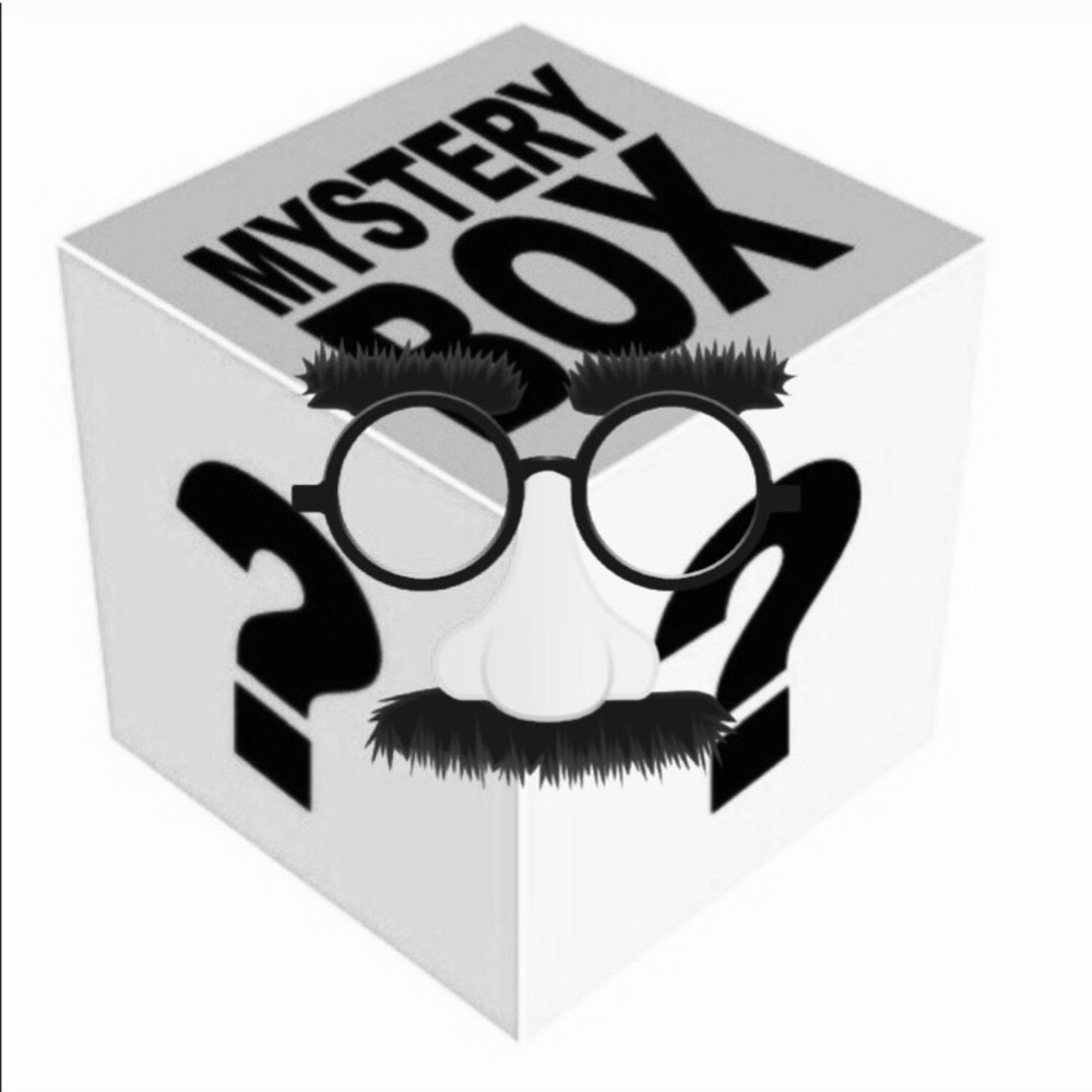 The Limited Bundle Mystery Box, $200+ Value😍